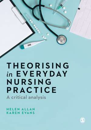 Theorising in Everyday Nursing Practice: A Critical Analysis de Helen Allan