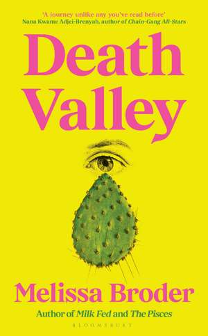 Death Valley de Melissa Broder
