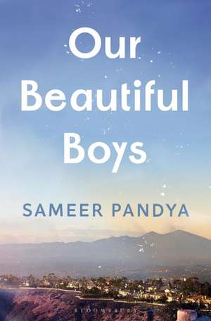 Our Beautiful Boys de Sameer Pandya