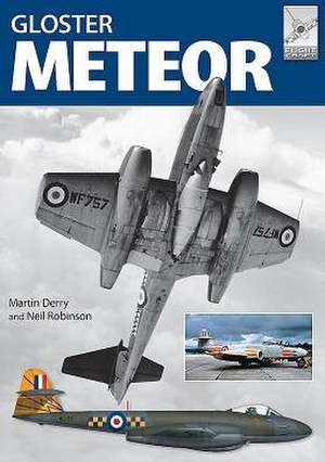 The Gloster Meteor in British Service de Martin Derry