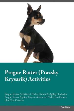 Prague Ratter Prazsky Krysarik Activities Prague Ratter Activities (Tricks, Games & Agility) Includes de Kevin Bailey