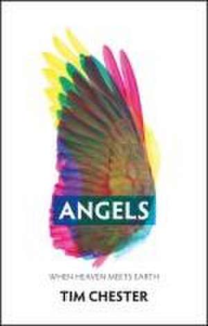 Angels de Tim Chester