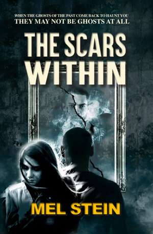 The Scars Within de Mel Stein