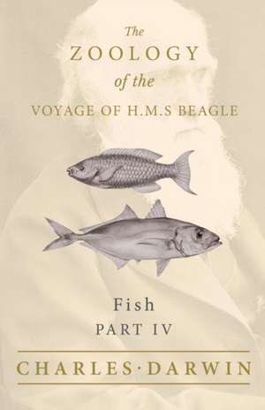 Fish - Part IV - The Zoology of the Voyage of H.M.S Beagle; Under the Command of Captain Fitzroy - During the Years 1832 to 1836 de Charles Darwin