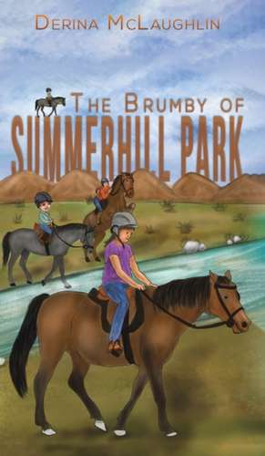 The Brumby of Summerhill Park de Derina McLaughlin