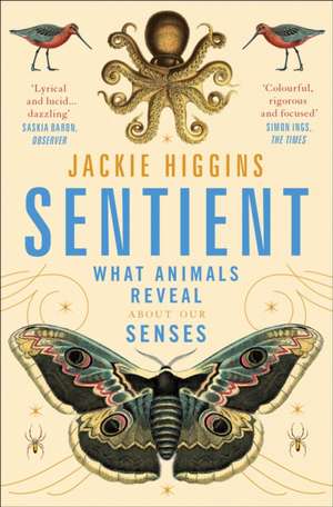 Higgins, J: Sentient