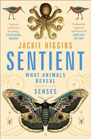 Sentient de Jackie Higgins