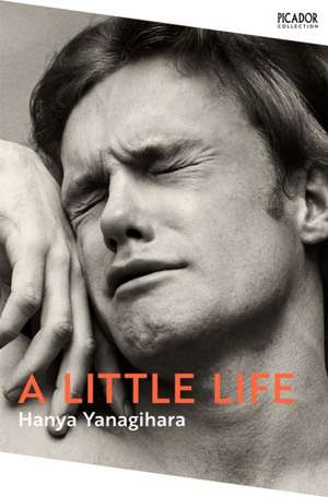 A Little Life de Hanya Yanagihara