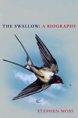 The Swallow de Stephen Moss