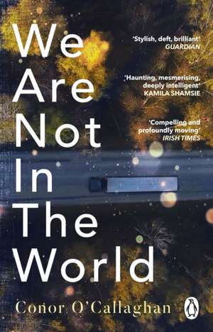 We Are Not in the World de Conor O'Callaghan