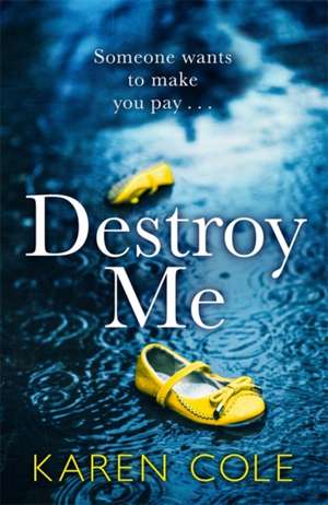 Destroy Me de Karen Cole