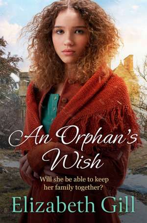 An Orphan's Wish de Elizabeth Gill