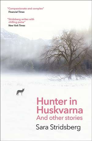 Hunter in Huskvarna de Sara Stridsberg