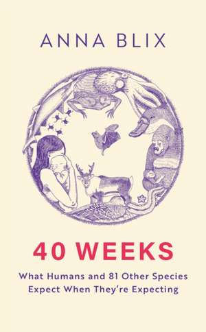 Blix, A: 40 Weeks de Anna Blix