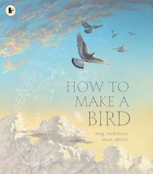 How to Make a Bird de Meg Mckinlay