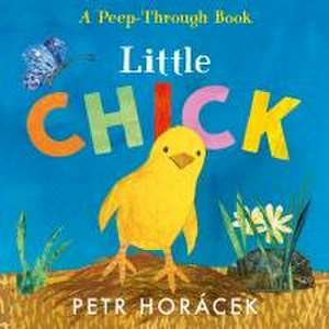 Little Chick de Petr Horácek