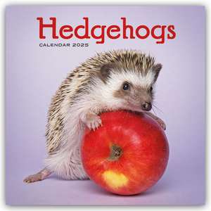 Hedgehogs - Igel 2025 - Wand-Kalender de Carousel Calendar