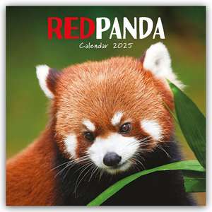 Carousel Calendar: Red Panda - Rote Pandas - Rote Pandabären