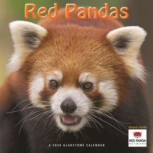 Red Pandas