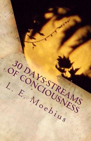 30 Days-Streams of Conciousness de L. E. Moebius