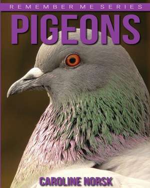 Pigeons de Caroline Norsk