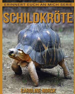 Schildkrote de Caroline Norsk