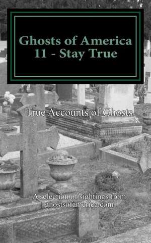 Ghosts of America 11 - Stay True de Nina Lautner