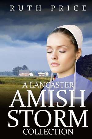 A Lancaster Amish Storm Collection de Ruth Price