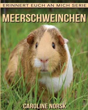 Meerschweinchen de Caroline Norsk