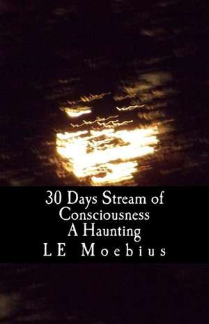 30 Days Streams of Consciousness de L. E. Moebius