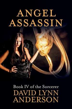 Angel Assassin de David Lynn Anderson