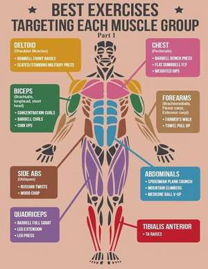 Best Exercise Targeting Each Muscle Group de Sunny Chanday