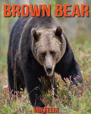 Brown Bear de Ina Felix