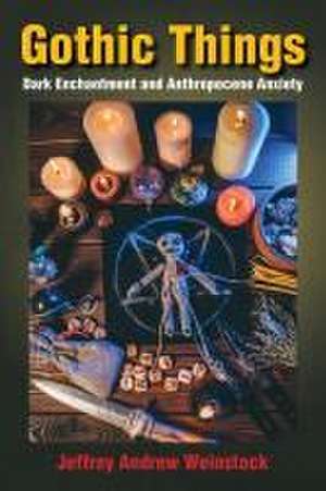 Gothic Things – Dark Enchantment and Anthropocene Anxiety de Jeffrey Andrew Weinstock