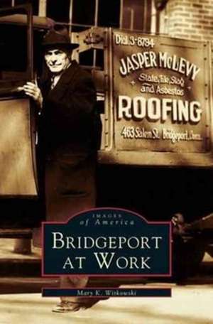 Bridgeport at Work de Mary K. Witkowski