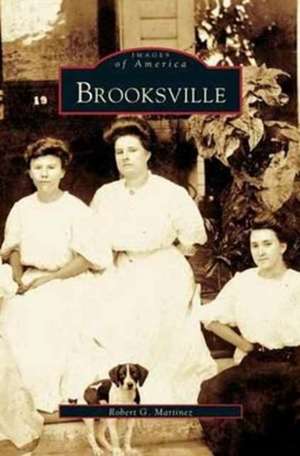 Brooksville de Robert G. Martinez