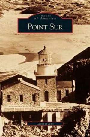 Point Sur, CA de Carol O'Neil