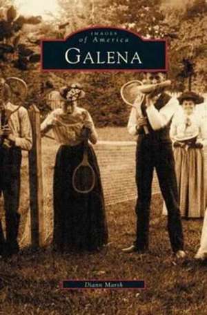 Galena, Illinois de Diann Marsh