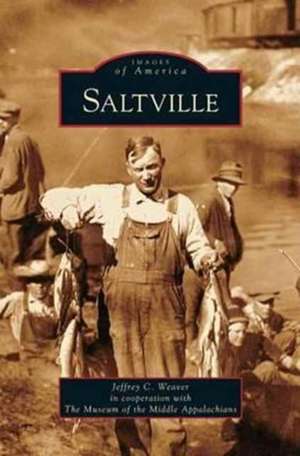 Saltville de Jeffrey C. Weaver