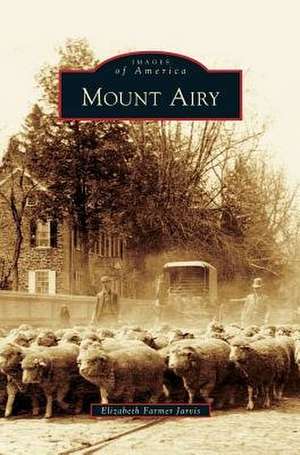 Mount Airy de Elizabeth Farmer Jarvis