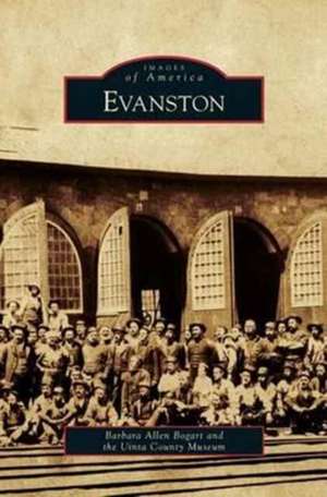 Evanston de Barbara Allen Bogart