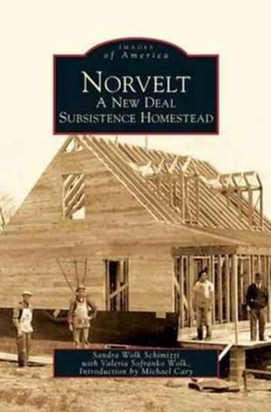 Norvelt de Sandra Wolk Schimizzi