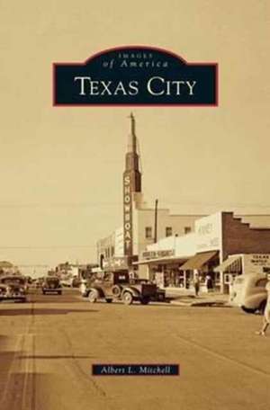 Texas City de Albert L. Mitchell