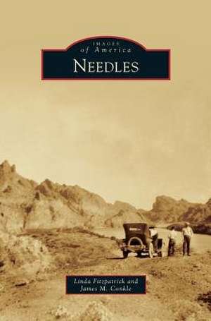 Needles de Linda Fitzpatrick