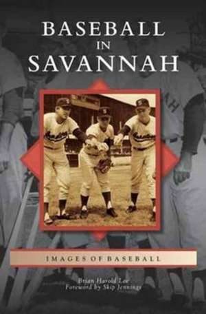 Baseball in Savannah de Brian Harold Lee