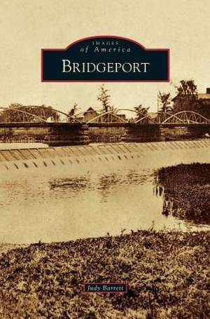 Bridgeport de Judy Barrett