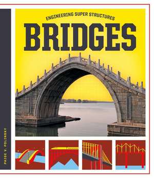 Bridges de Paige V. Polinsky