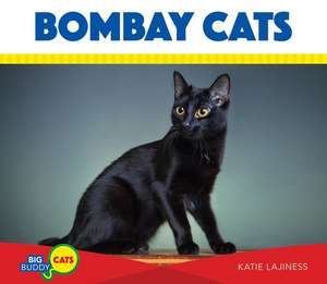 Bombay Cats de Katie Lajiness