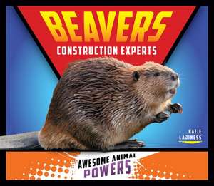 Beavers: Construction Experts de Katie Lajiness