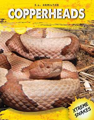 Copperheads de Sue L. Hamilton